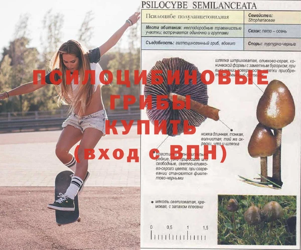 спиды Балахна