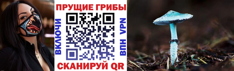 Псилоцибиновые грибы GOLDEN TEACHER  Нерюнгри 